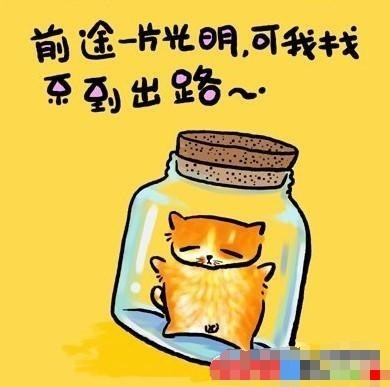 2_79036031_diary.jpg