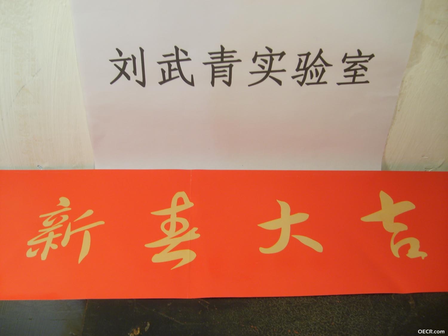 刘武青实验室祝网友们新春大吉
