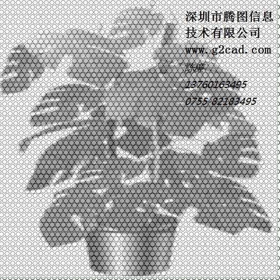用网点的大小与密度来表示图案.jpg
