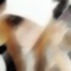 gfr.gif