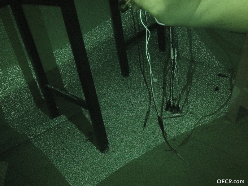 用红外线DV 看到的3