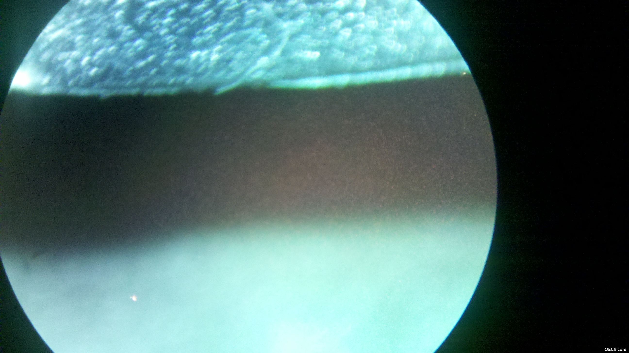 2012-04-21_14-24-57_913.jpg