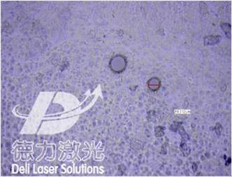 PVC 薄膜激光打孔.jpg