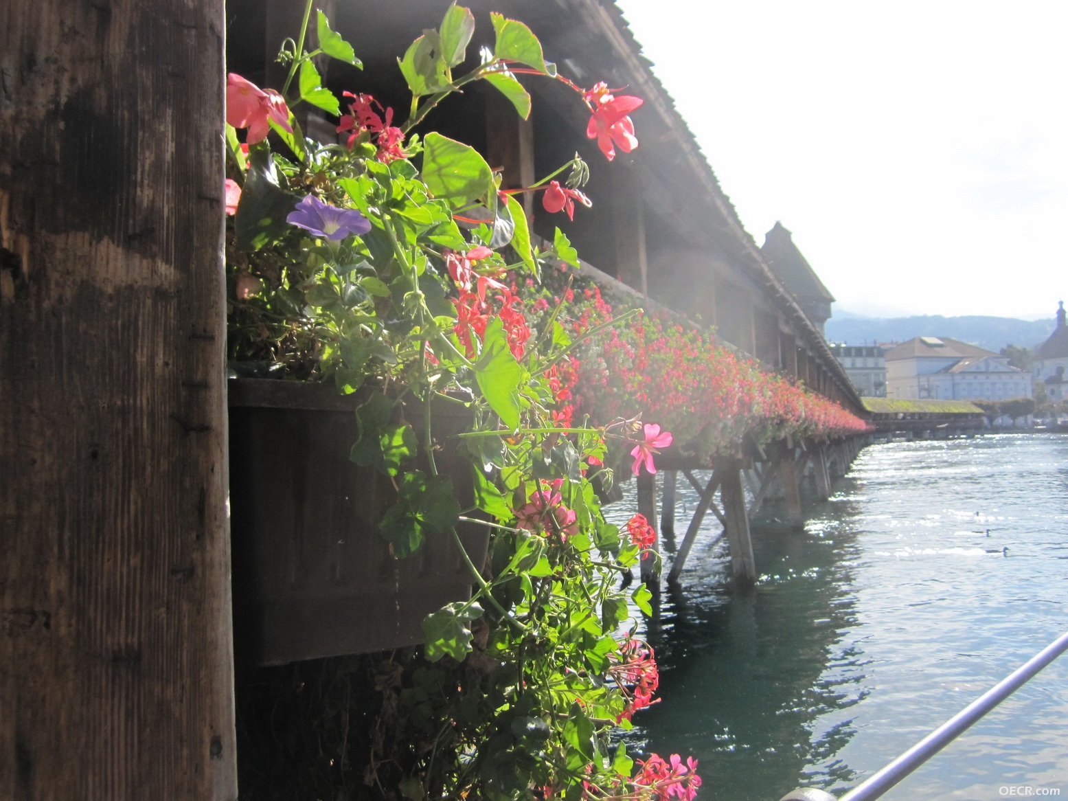 IMG_2662_调整大小.JPG