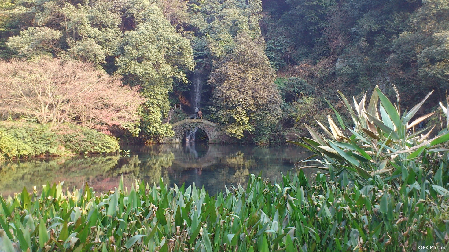 DSC_2705_调整大小.jpg