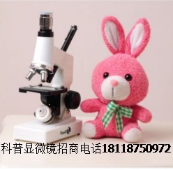 显微镜和电话.jpg