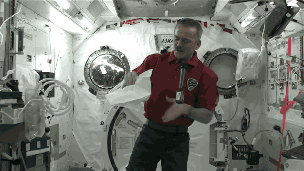 1.gif