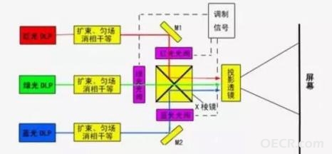 1486341677757049296.jpg