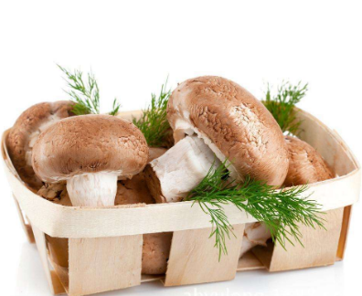 mushroom.png