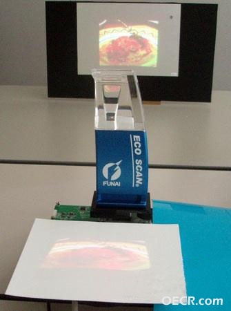20091012-826.jpg