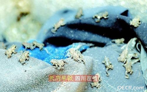 001372af60430d4af9ed08.jpg