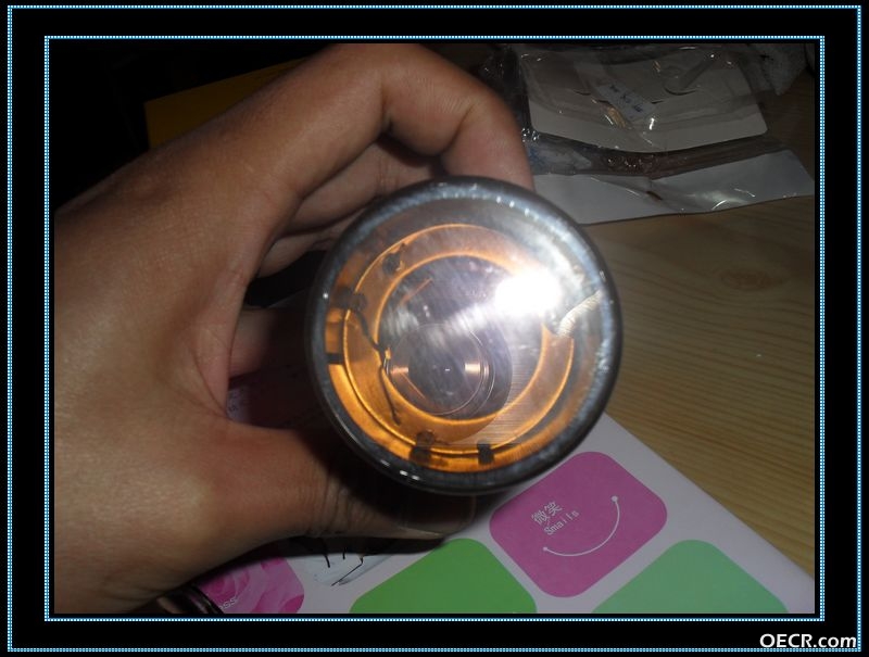 SDC11344.jpg