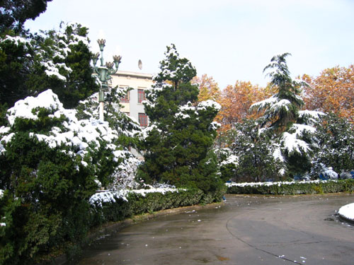2004年的第一场雪