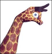 [贴图] 手上的 animal