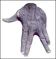 [贴图] 手上的 animal