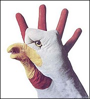 [贴图] 手上的 animal
