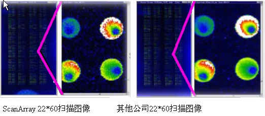 谁可以告诉我激光共焦技术的相关原理