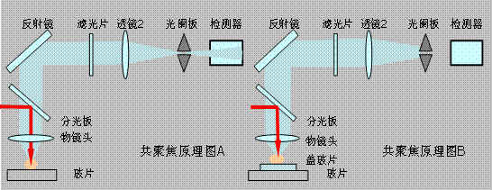 谁可以告诉我激光共焦技术的相关原理