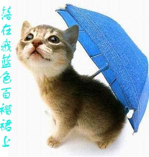 BBS上的问答游戏,大家玩过吗?