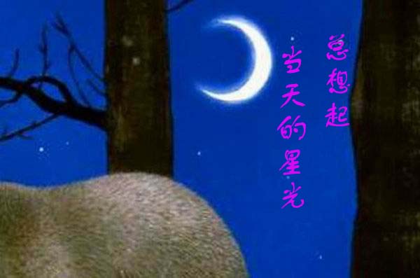[贴图]猫咪爱情演绎版-------后来