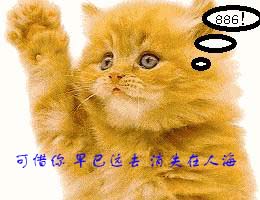 [贴图]猫咪爱情演绎版-------后来