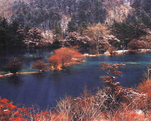 一些风景图