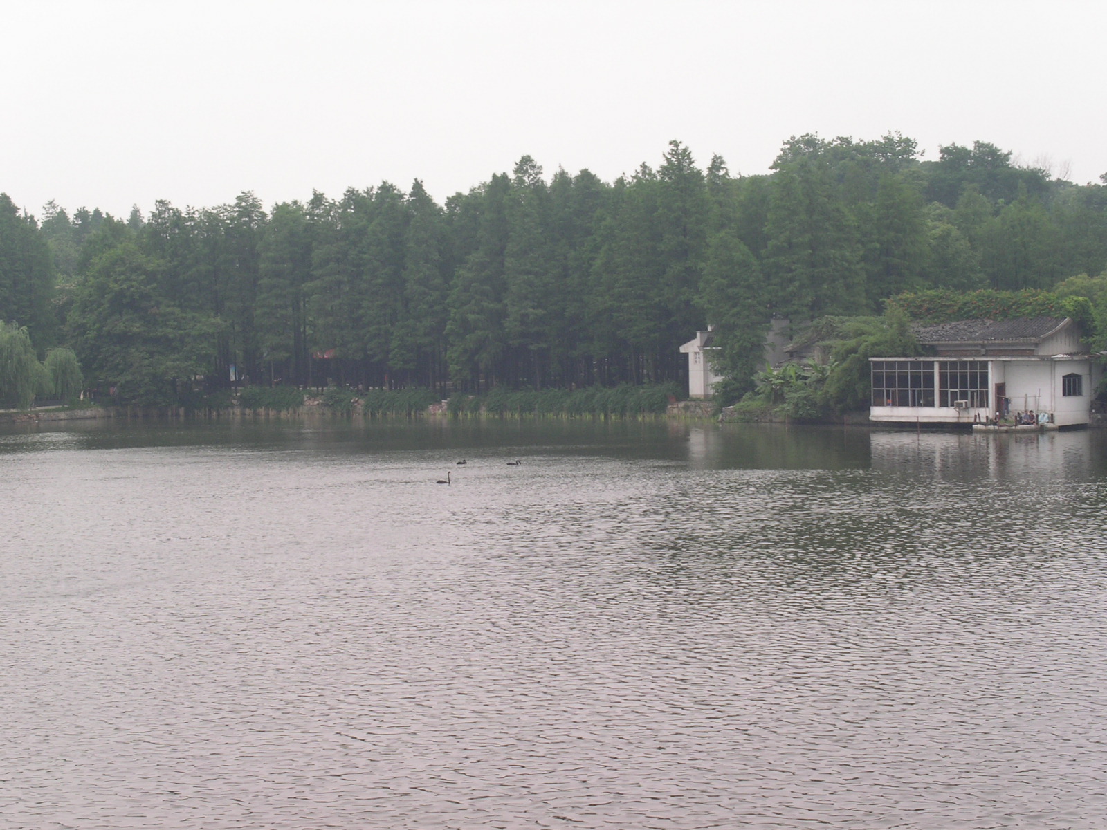 武汉动物园（Wuhan Zoo）