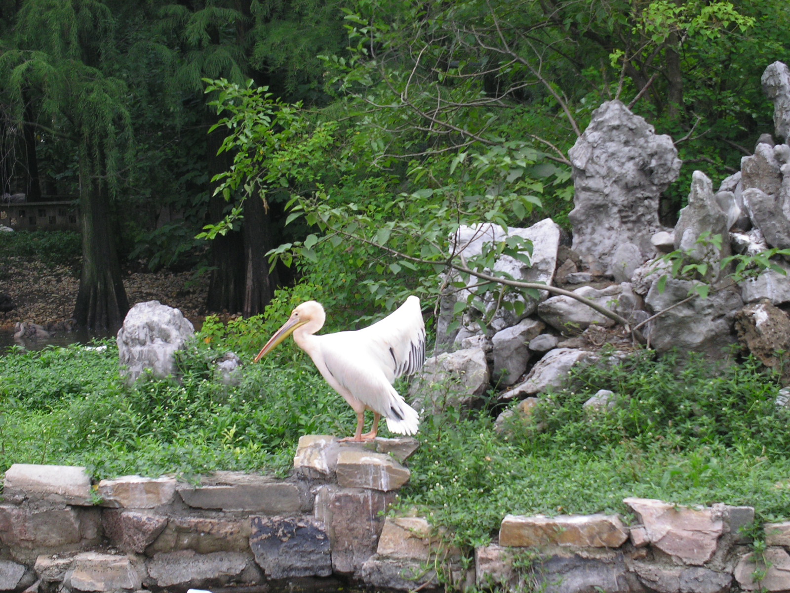 武汉动物园（Wuhan Zoo）