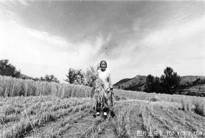 [转帖]岁月沧桑亲情永恒