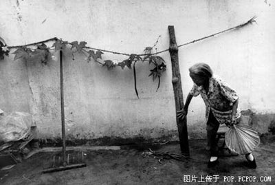 [转帖]岁月沧桑亲情永恒