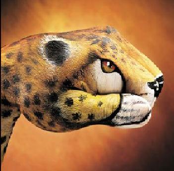 [贴图] 手上的 animal