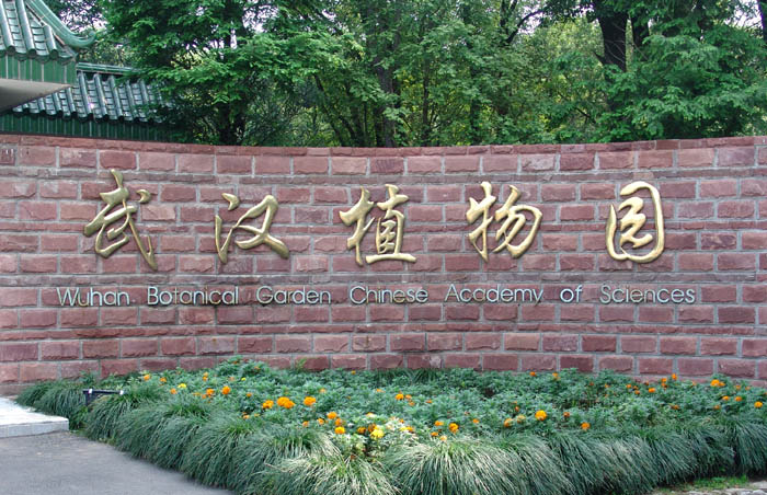 周末有朋来