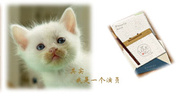 名字含英文字母的帅哥，靓女看过来