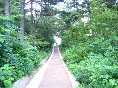 华山之旅