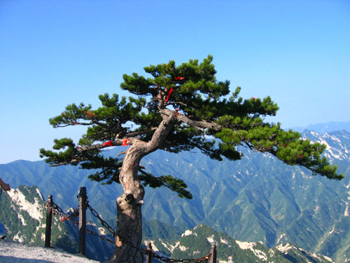 华山之旅