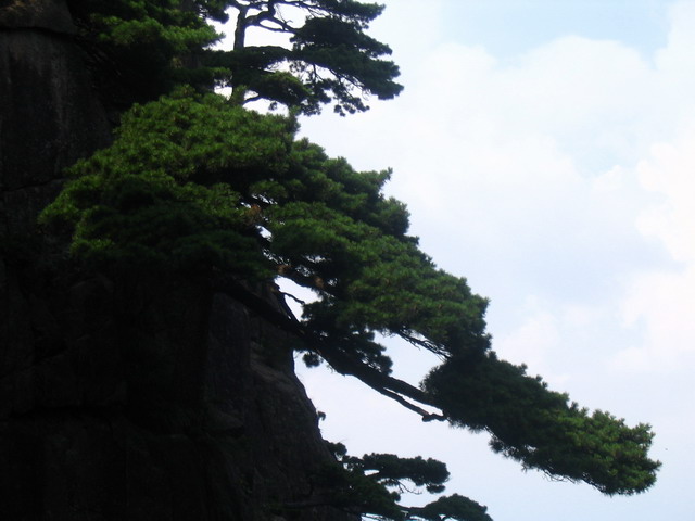 （原创）黄山探险