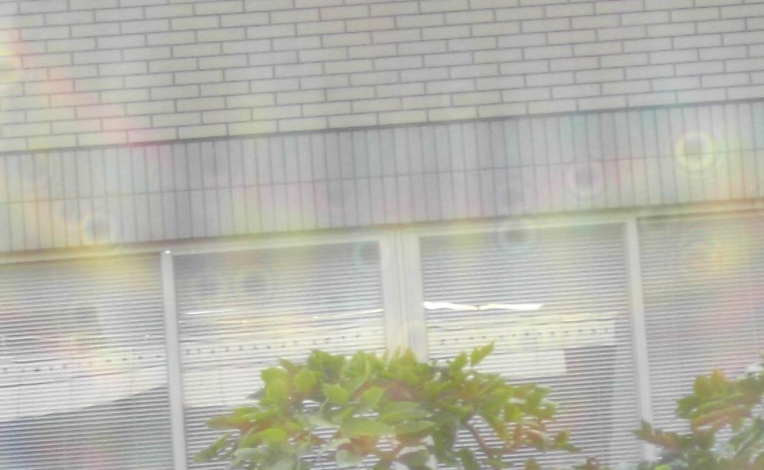 指教