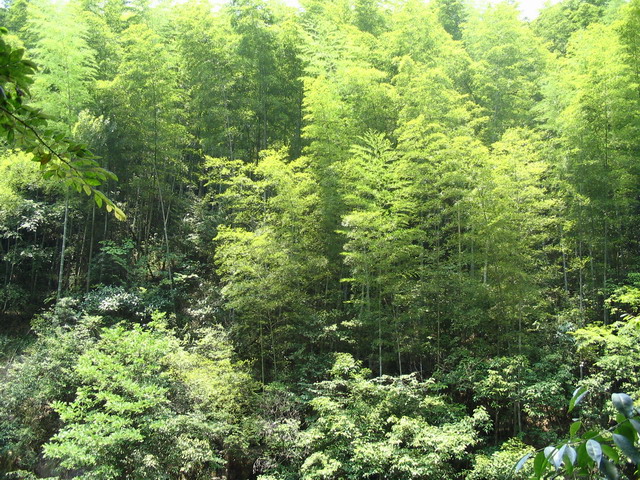 （原创）黄山探险
