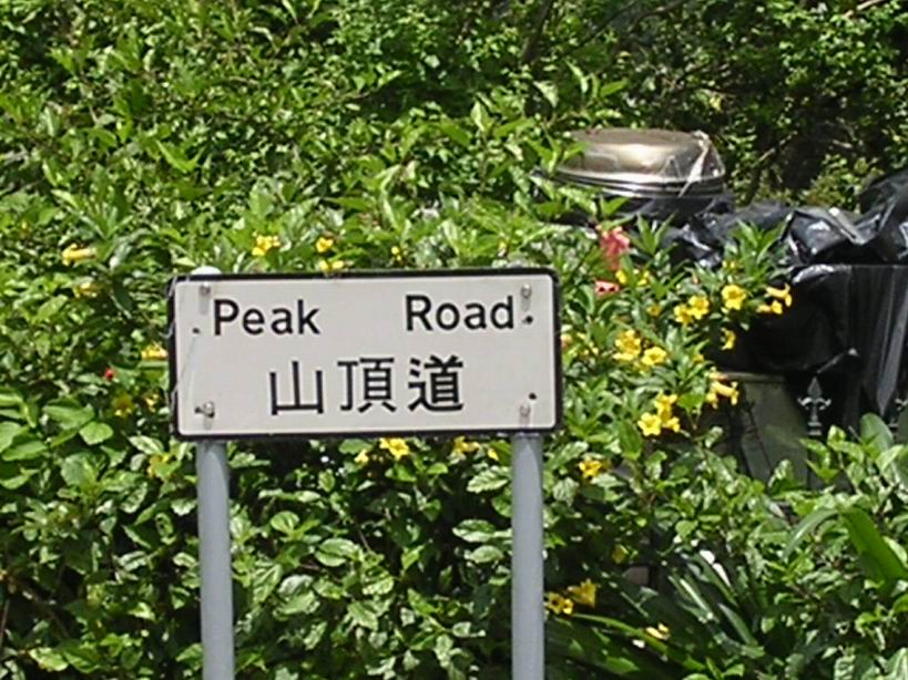 [贴图]  似曾相识