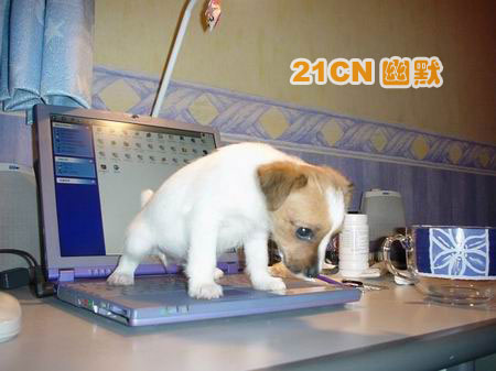 小便看个性，经典（限男士）