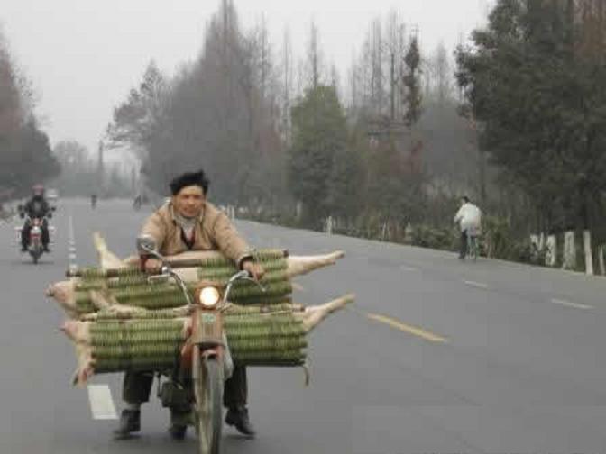 [贴图]生活中的功夫