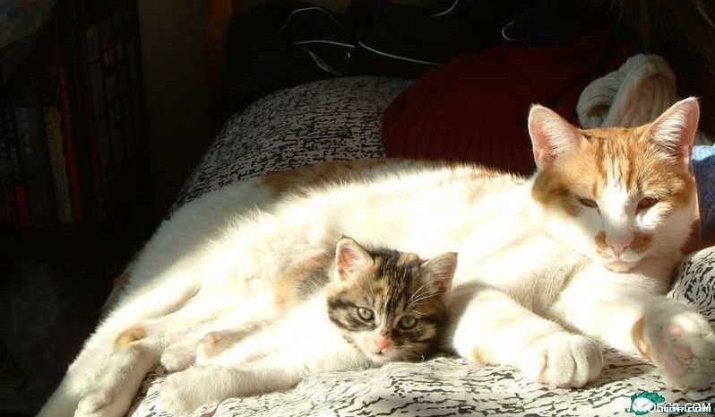 zzz.jpg