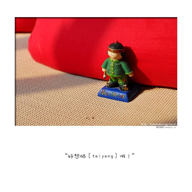 z.jpg