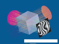 6.gif