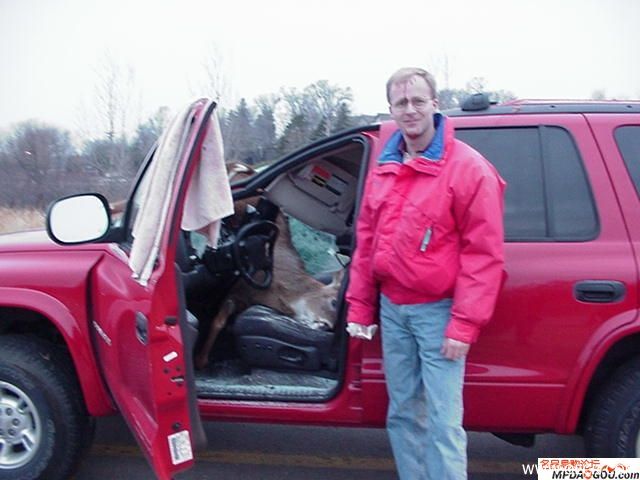 2007920155314512.jpg