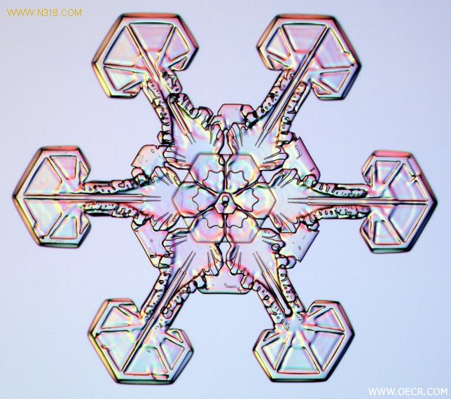 冬天的雪花 (10).jpg