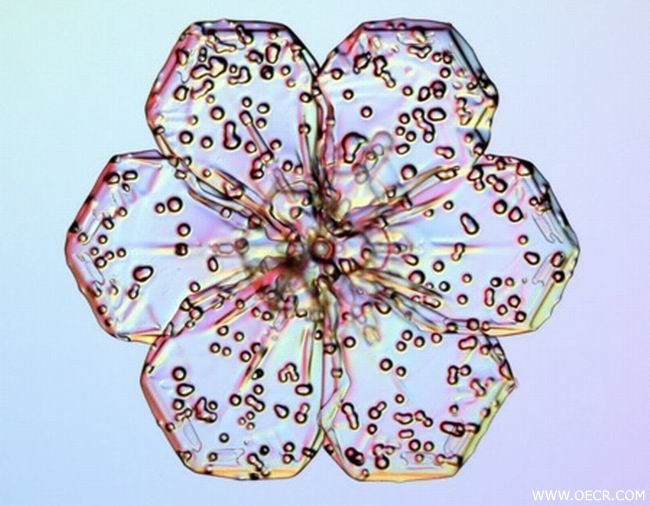 冬天的雪花 (14).jpg