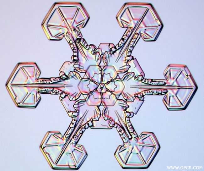 冬天的雪花 (15).jpg