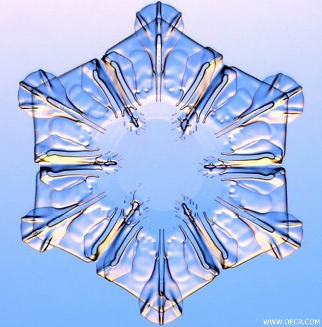 冬天的雪花 (13).jpg