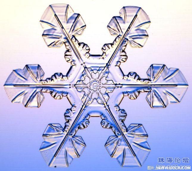 冬天的雪花 (17).jpg